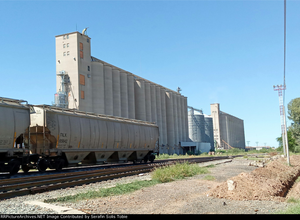 TILX 65642 Al Fondo Unos Silos 